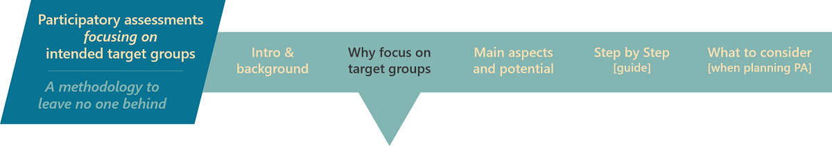 Graphic for Participatory Assessments banner - why focus on target groups