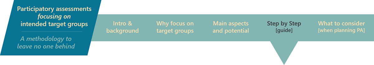 Graphic for Participatory Assessments banner - step-by-step guide