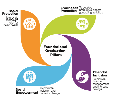 Graphic of BRAC graduation programs