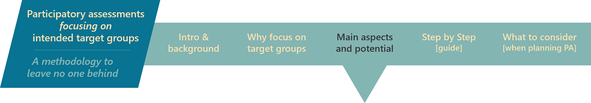 Graphic for Participatory Assessments banner - main aspects and potential