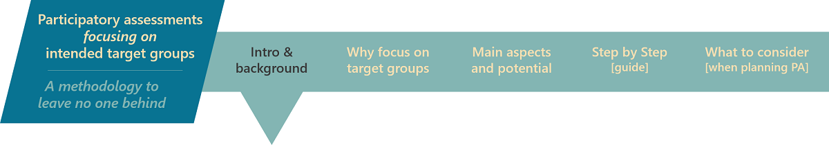 Graphic for Participatory Assessments banner